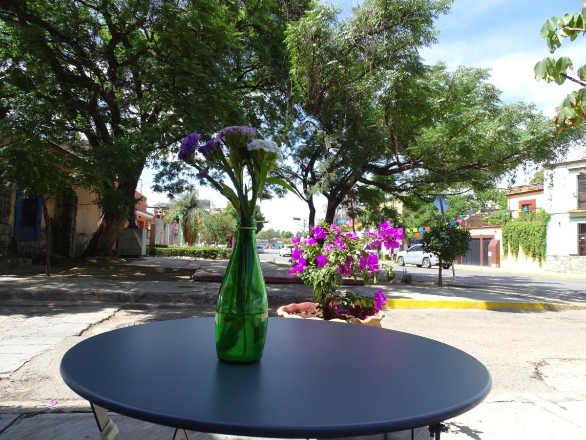 Alojamiento Jalatlaco - Car Rental! Estacionamiento En La Calle Sujeto A Disponibilidad Oaxaca Exteriér fotografie